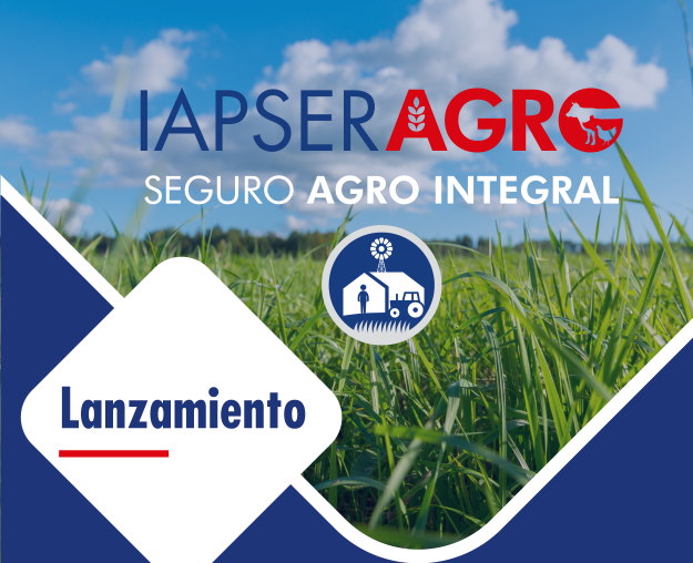 lanzamiento_Mesa de trabajo 1